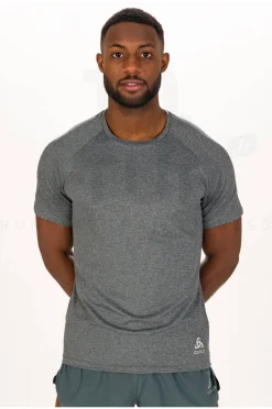 Homme Odlo Manches Courtes^Active 365 ECO M
