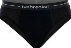 Homme Icebreaker Sous-Vêtements^Anatomica Brief Mérinos