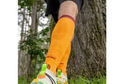 BV Sport Manchons / Manchettes^Booster Elite Evolution