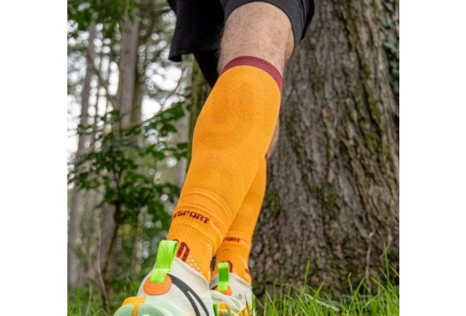 BV Sport Manchons / Manchettes^Booster Elite Evolution