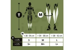 BV Sport Manchons / Manchettes^Booster Origine