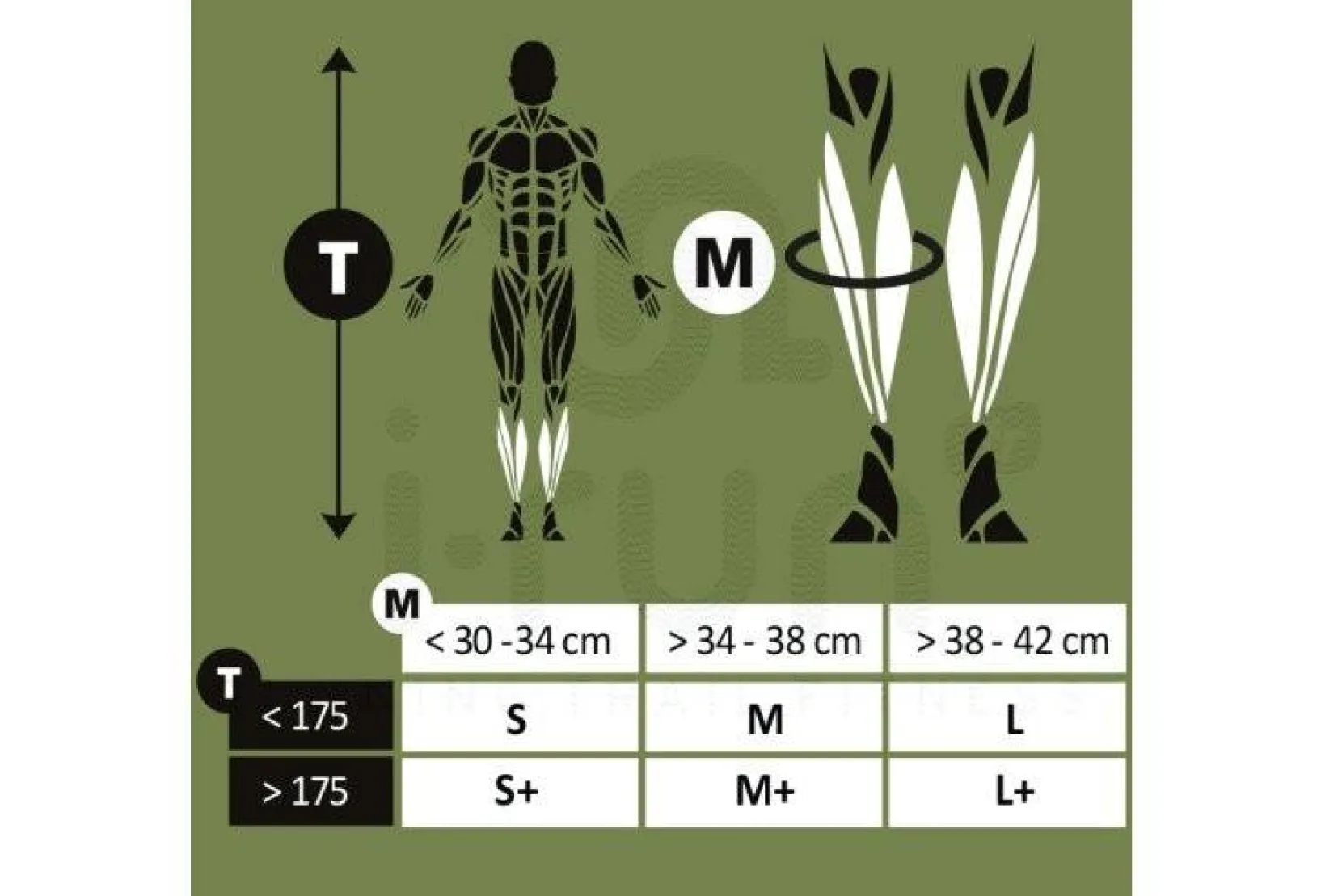 BV Sport Manchons / Manchettes^Booster Origine