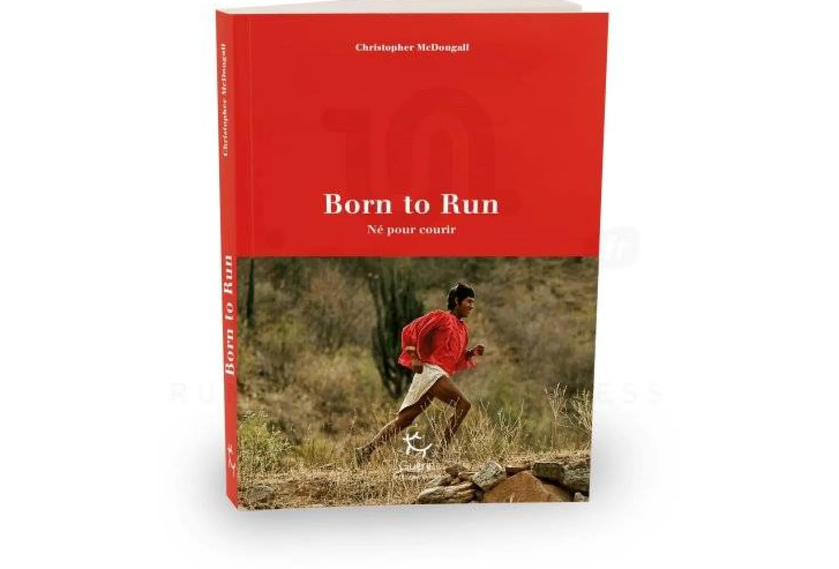 Paulsen Livres^Born to Run
