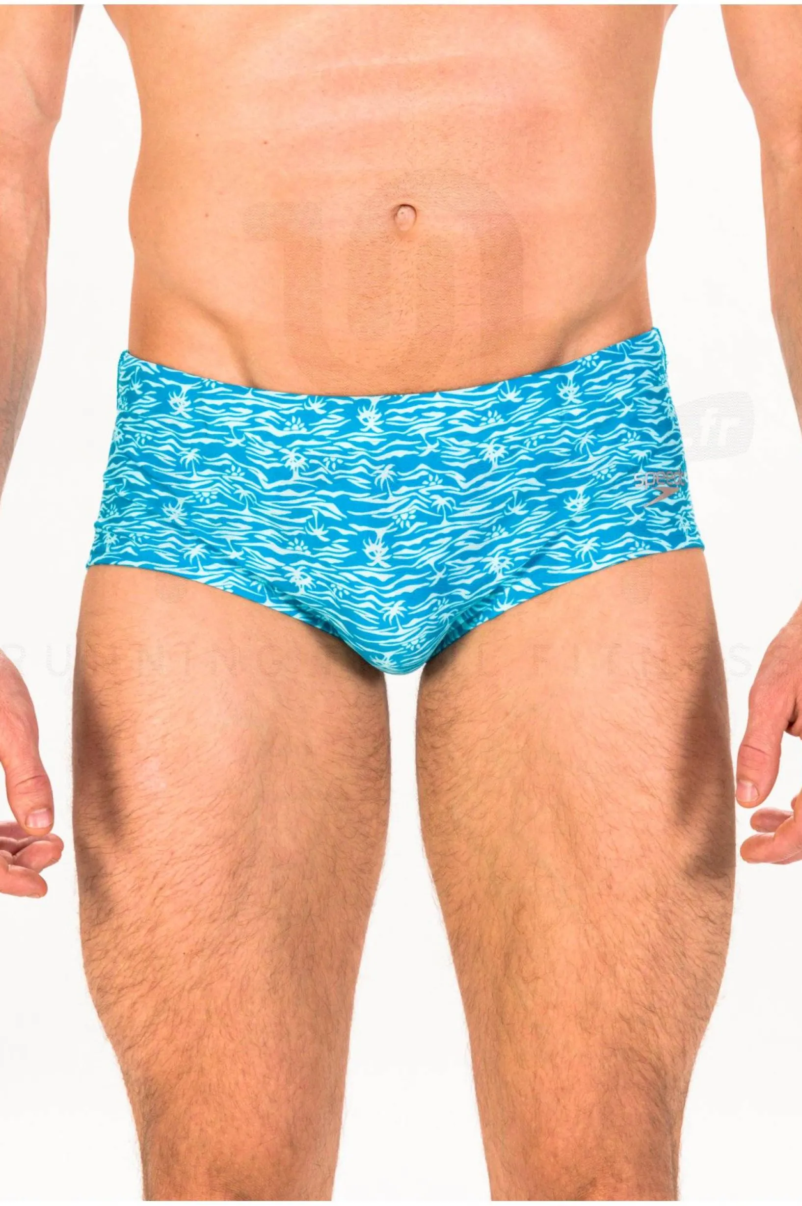 Homme Speedo Natation^Club Training M