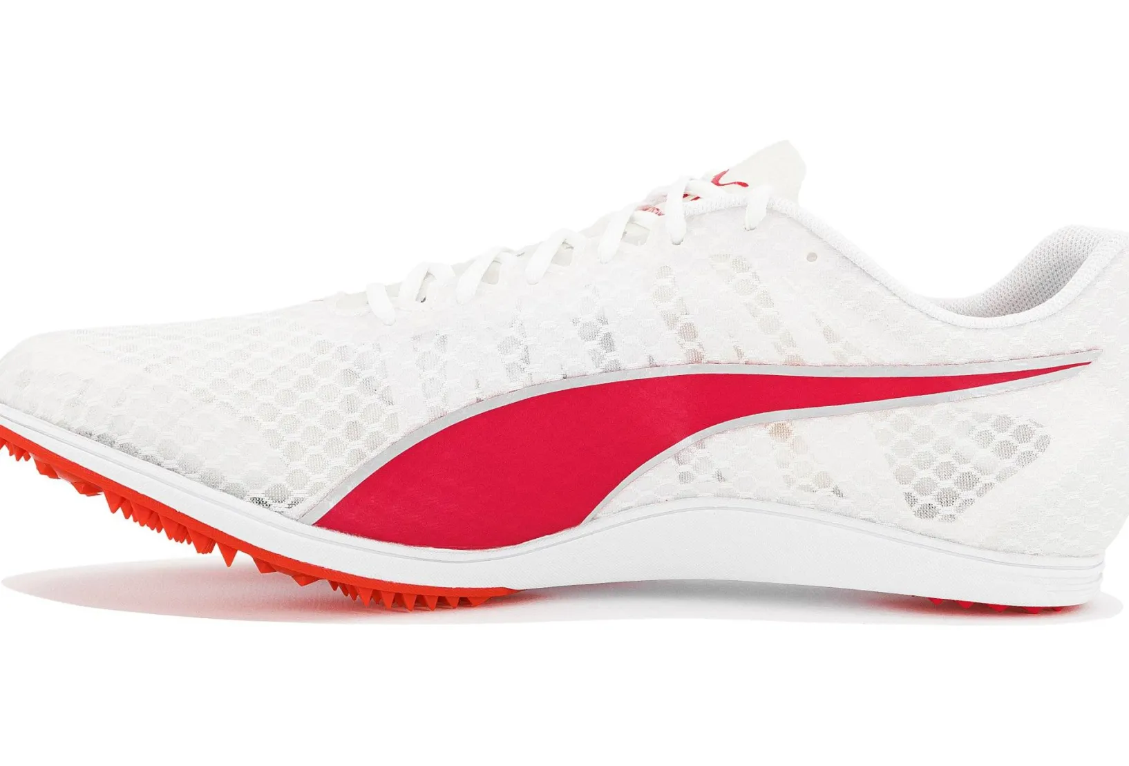 Homme Puma Athlétisme^evoSPEED Distance 11 M