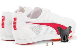 Homme Puma Athlétisme^evoSPEED Distance 11 M