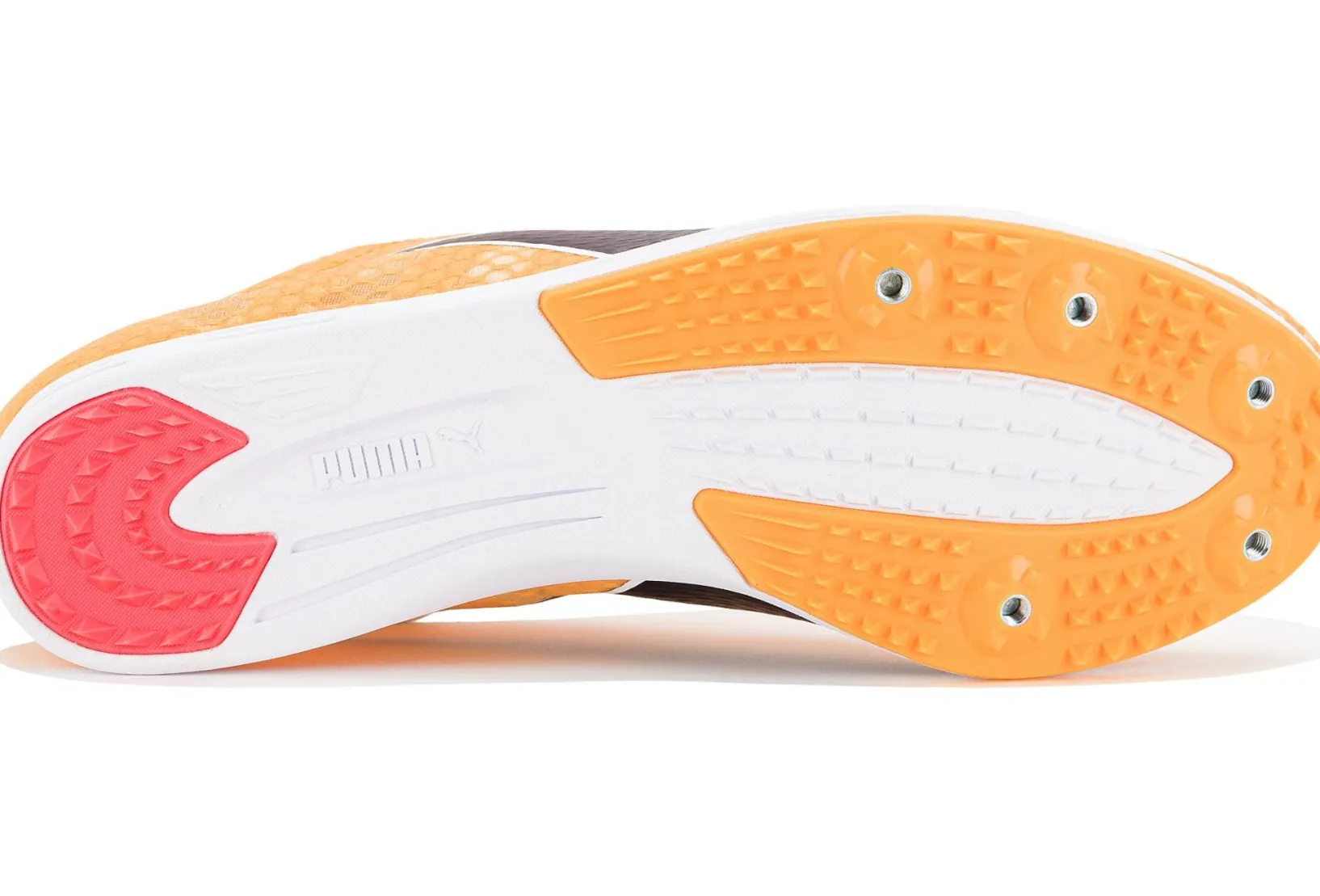 Homme Puma Athlétisme^evoSPEED Distance 11 M