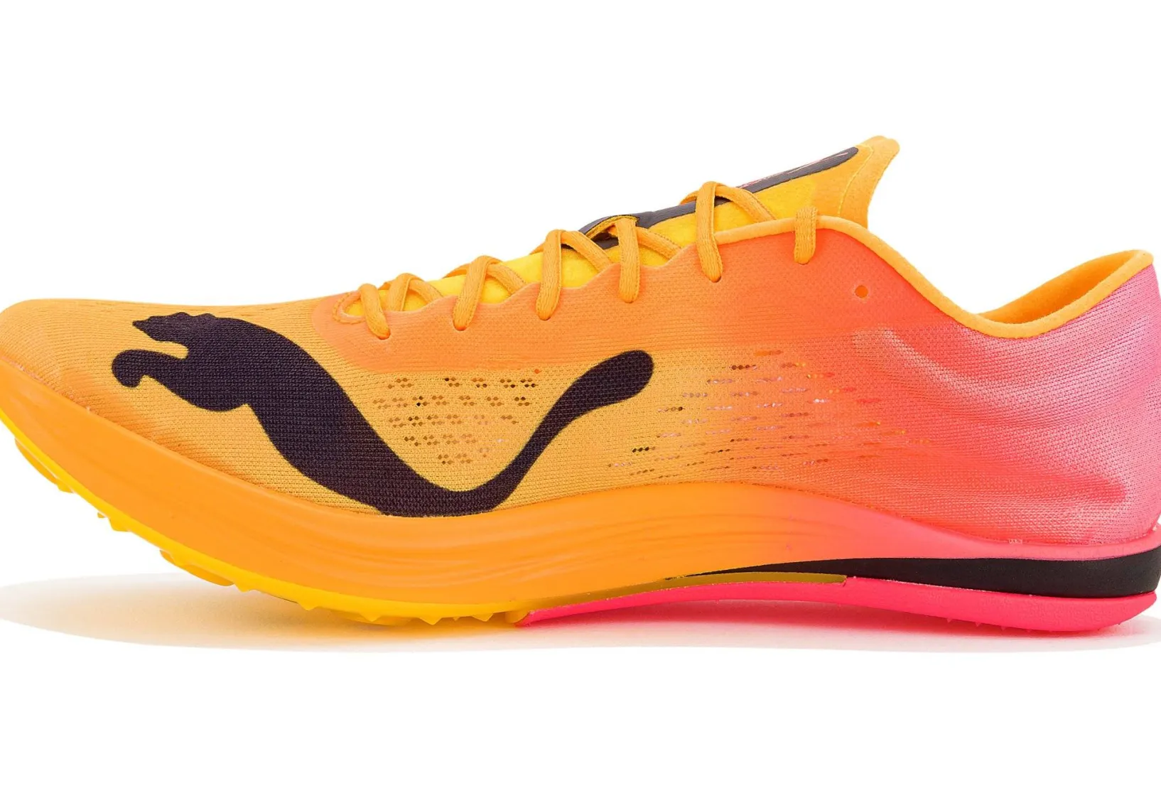 Femme Puma Athlétisme^evoSPEED LD Nitro Elite+ W femme
