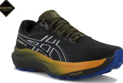 Homme Asics Running^GT-2000 14 Gore-Tex
