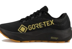 Femme Asics Running^GT-2000 14 Gore-Tex femme