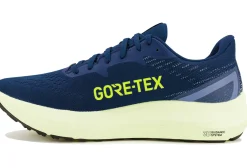 Homme Asics Running^GT-2000 12 Gore-Tex M