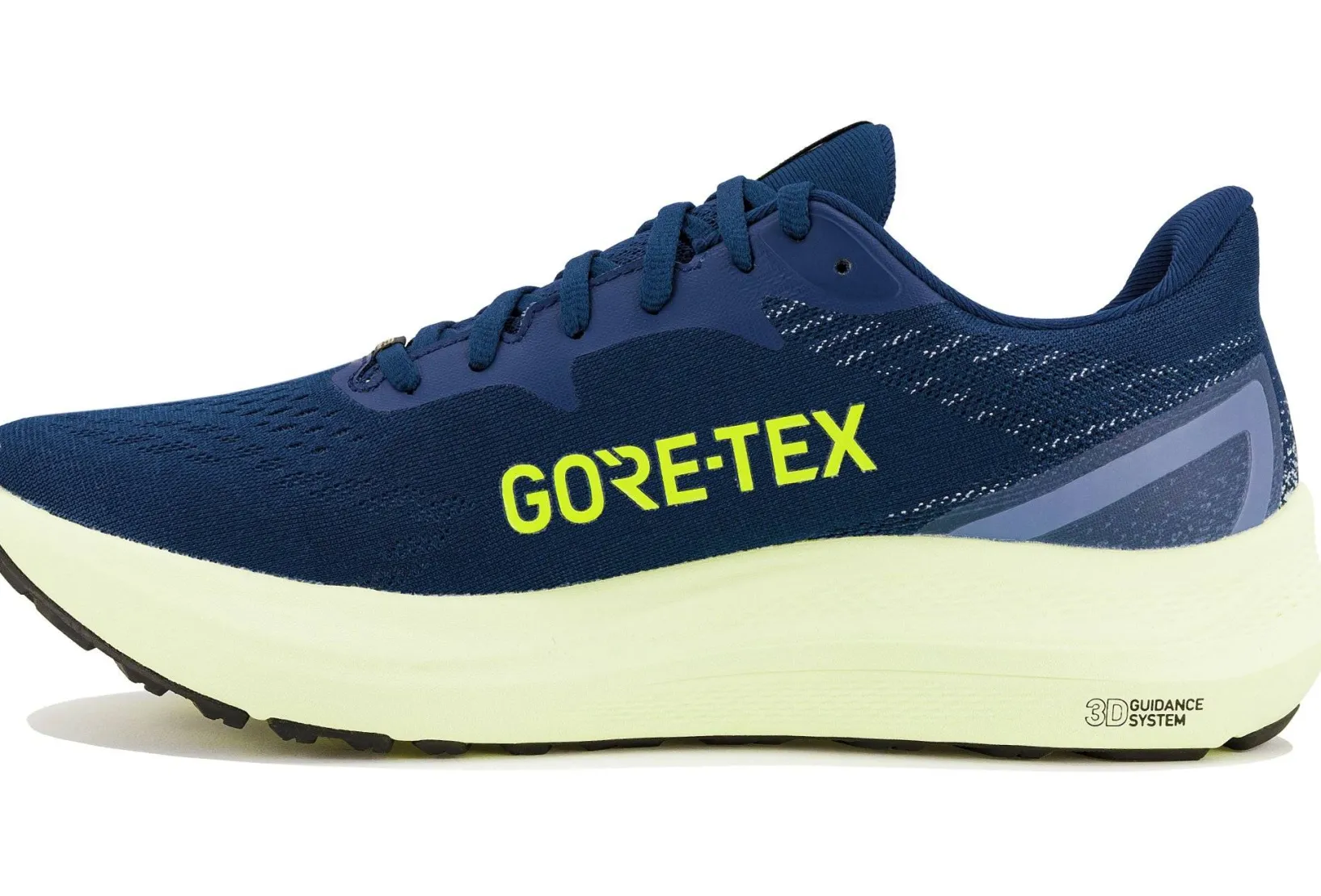 Homme Asics Running^GT-2000 12 Gore-Tex M