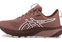 Femme Asics Running^GT-1000 14 TR femme Nature Bathing