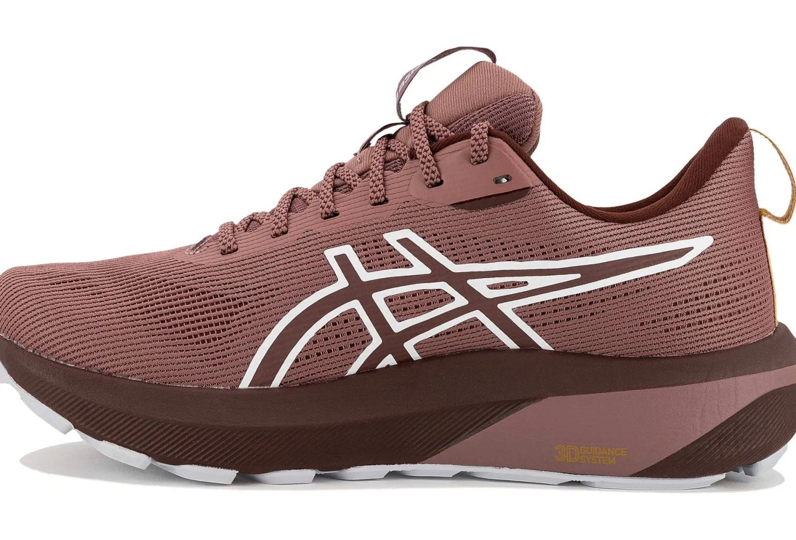 Femme Asics Running^GT-1000 14 TR femme Nature Bathing