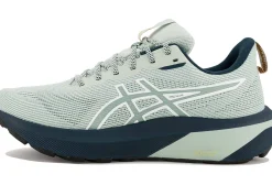 Homme Asics Running^GT-1000 14 TR Nature Bathing