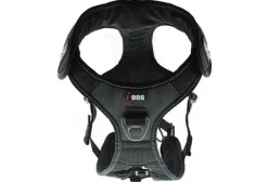 Raidlight Canicross^Harnais i-Dog