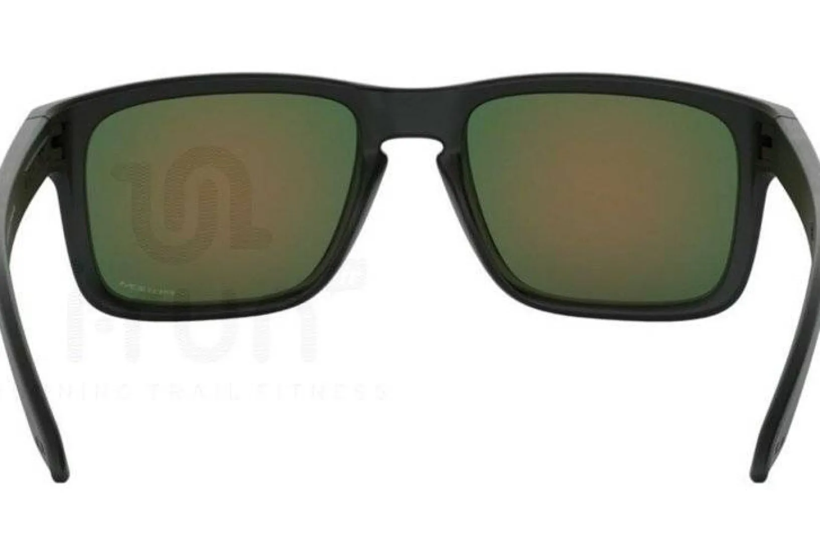 Oakley Lunettes^Holbrook Prizm