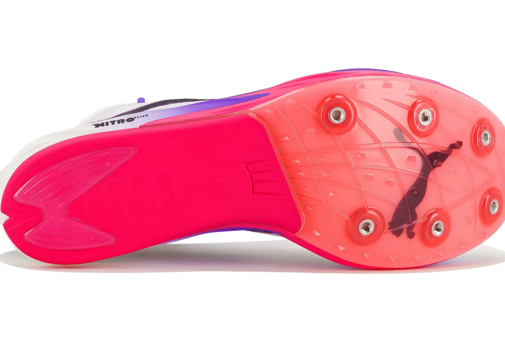 Femme Puma Athlétisme^Long Distance Nitro Elite 3 femme x Digitokyo