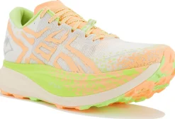 Homme Asics Trail^Metafuji Trail