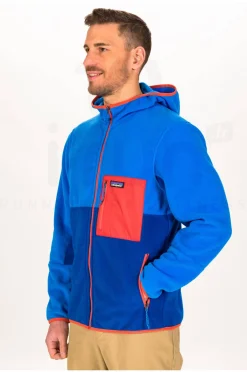 Homme Patagonia Polaires^Microdini M