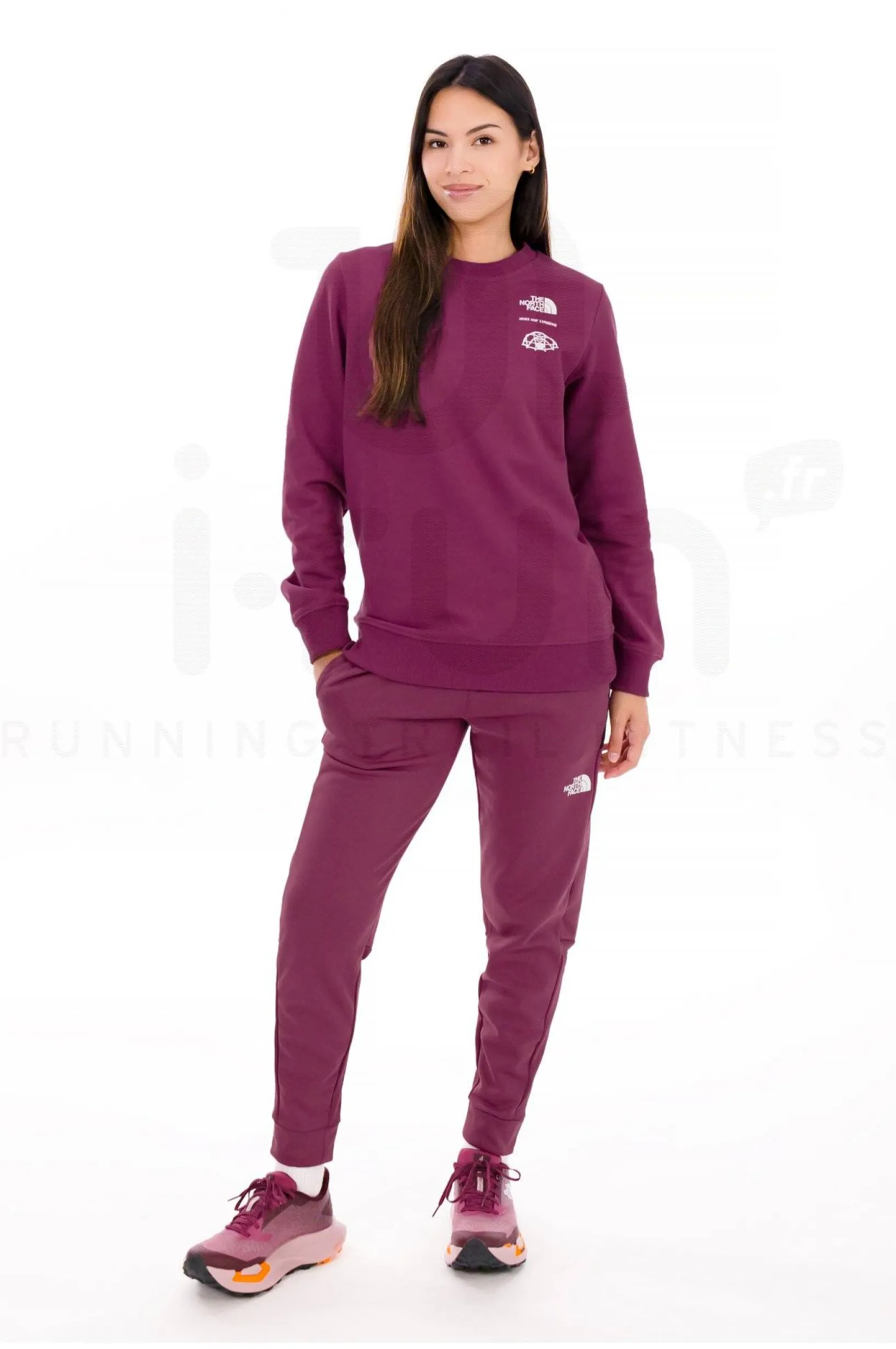 Femme The North Face Sportswear^Outdoor Graphic femme