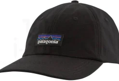 Patagonia Casquettes / Bandeaux^P-6 Label Trad