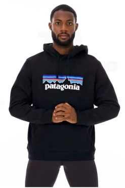 Homme Patagonia Sportswear^P-6 Logo Uprisal