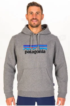 Homme Patagonia Sportswear^P-6 Logo Uprisal