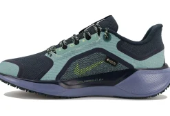 Homme Nike Running^Pegasus 41 Gore-Tex