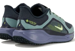 Homme Nike Running^Pegasus 41 Gore-Tex