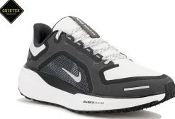 Femme Nike Running^Pegasus 41 Gore-Tex femme