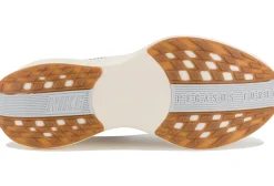 Homme Nike Running^Pegasus Plus