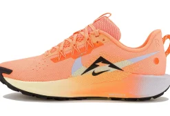 Homme Nike Trail^Pegasus Trail 5