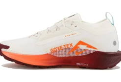 Homme Nike Trail^Pegasus Trail 5 Gore-Tex