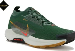 Homme Nike Trail^Pegasus Trail 5 Gore-Tex