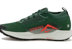 Homme Nike Trail^Pegasus Trail 5 Gore-Tex