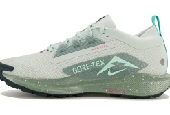 Homme Nike Trail^Pegasus Trail 5 Gore-Tex