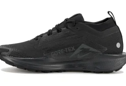 Homme Nike Trail^Pegasus Trail 5 Gore-Tex