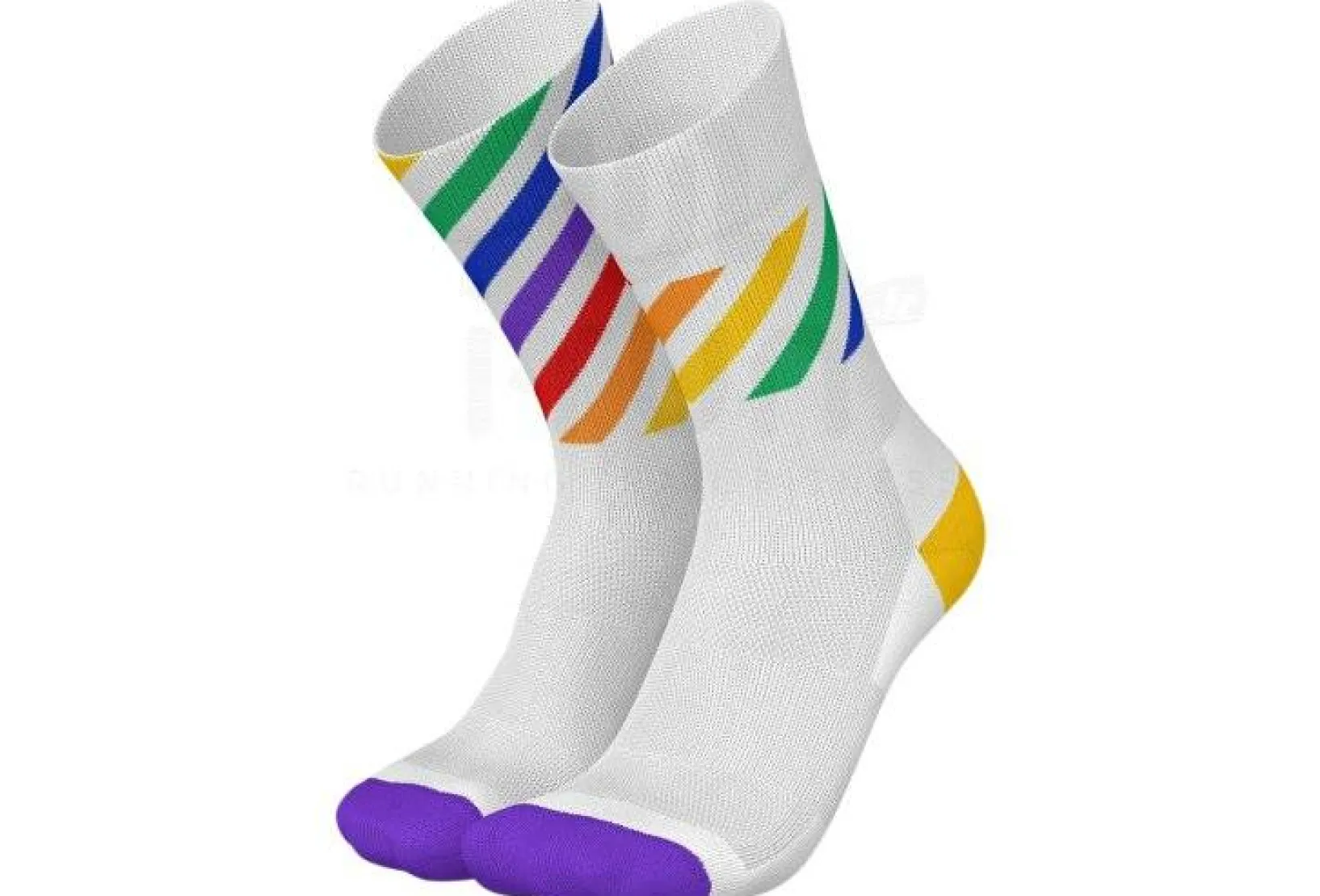 INCYLENCE Chaussettes^Pride V4