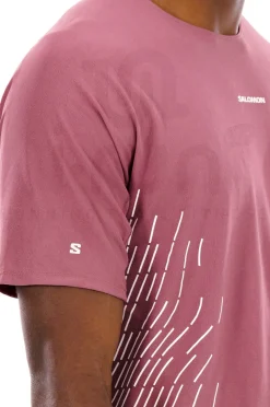 Homme Salomon Manches Courtes^Sense Aero GFX