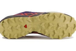 Homme Salomon Trail^Speedcross 6