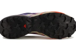 Homme Salomon Trail^Speedcross 6 Gore-Tex