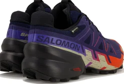 Homme Salomon Trail^Speedcross 6 Gore-Tex