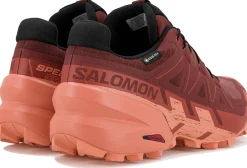 Femme Salomon Trail^Speedcross 6 Gore-Tex femme
