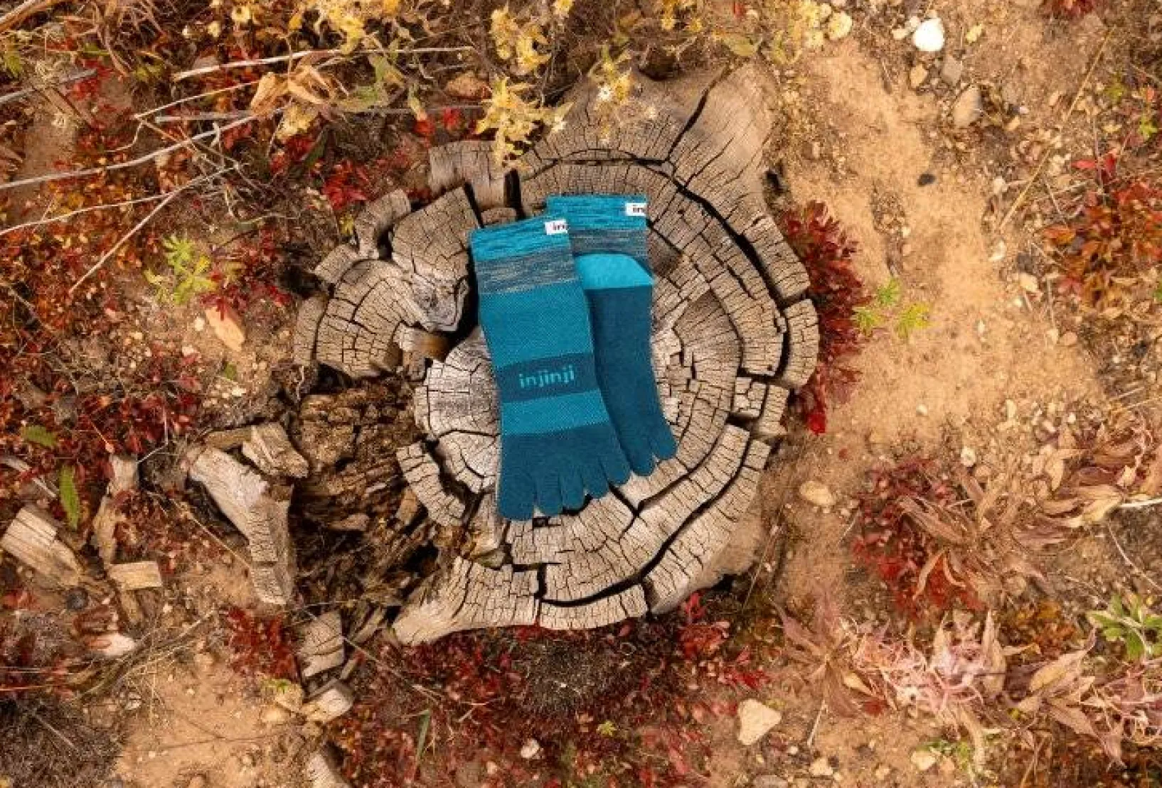 Injinji Chaussettes^Trail Midweight Mini-Crew