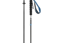 Salomon Bâtons De Marche^Ultra Carbon Foldable