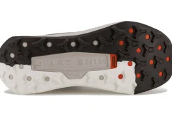 Homme Nike Trail^Wildhorse 10