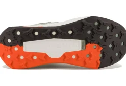 Homme Nike Trail^Wildhorse 10